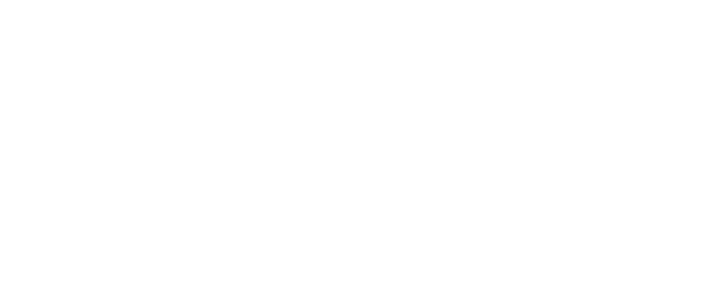 ana luisa