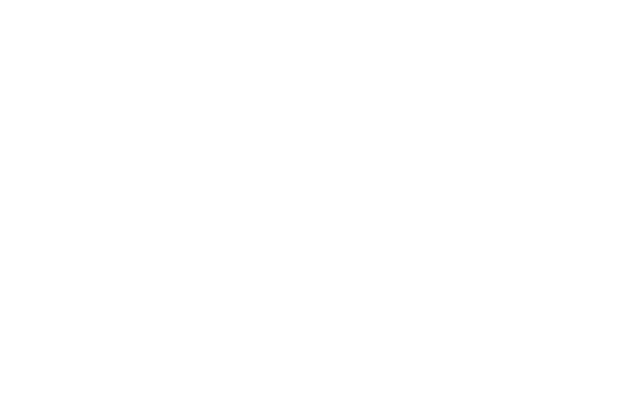 pair