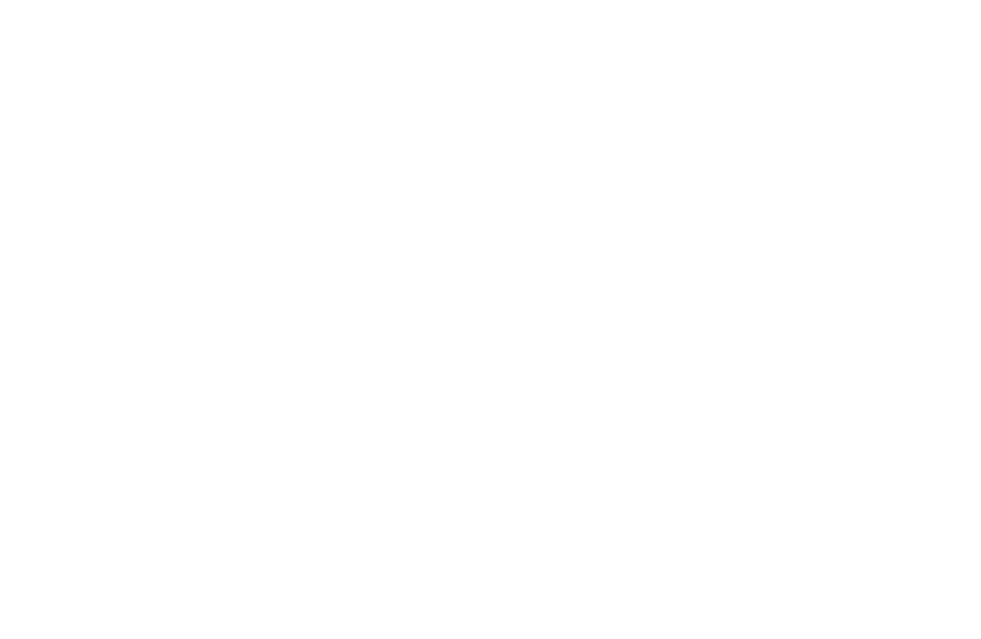 rebag