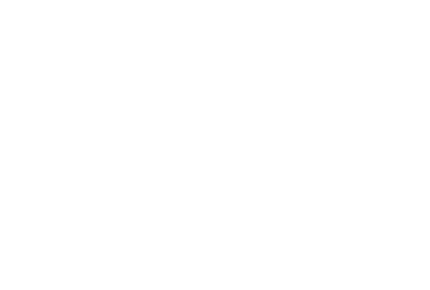 sisters republic